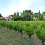 Domaine Fontanille Haut à Laure Minervois