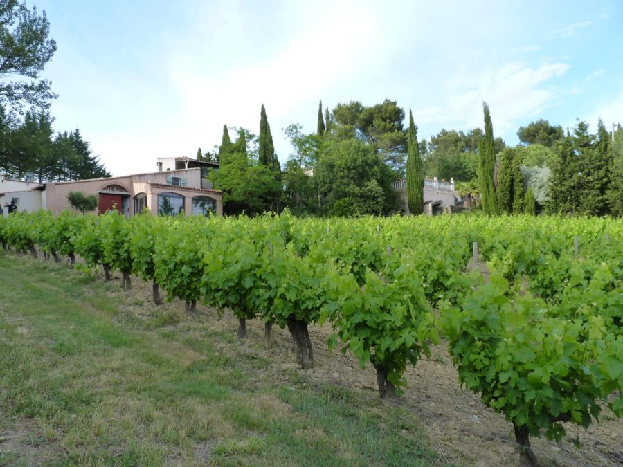 Domaine Fontanille Haut à Laure Minervois